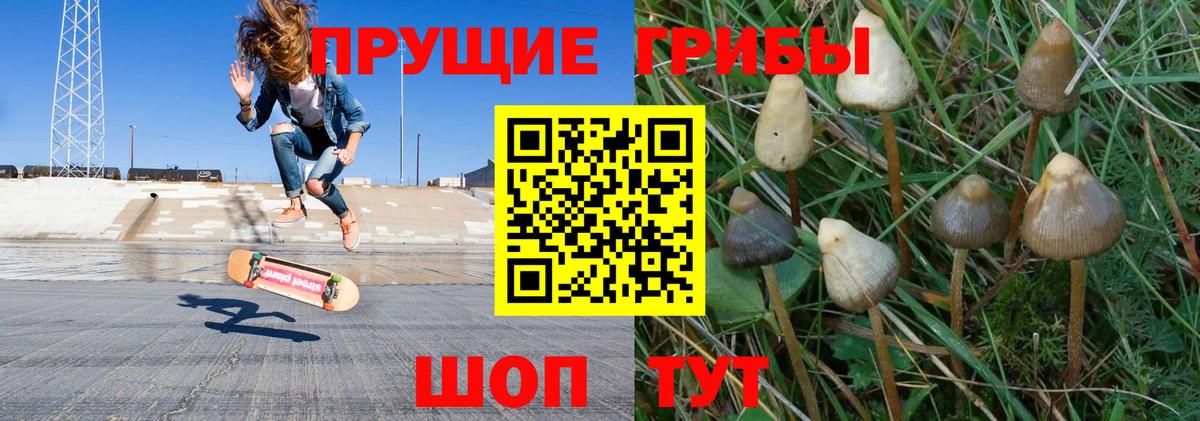 Галлюциногенные грибы Psilocybine cubensis  как найти закладки  Кушва  Галлюциногенные грибы GOLDEN TEACHER  Вход с VPN 
